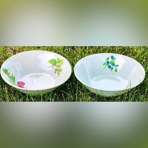 Set of 2 SELTMANN WEIDEN BAVARIA West Germany Qualitats Porzellan Soup Bowls - Picture 10 of 10